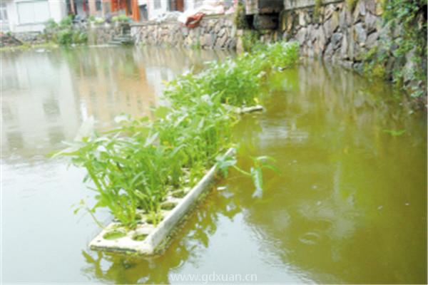 水培种植蔬菜前，都需要准备哪些东西？