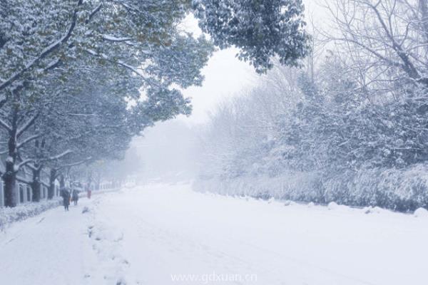 大雪节气有什么讲究和禁忌？