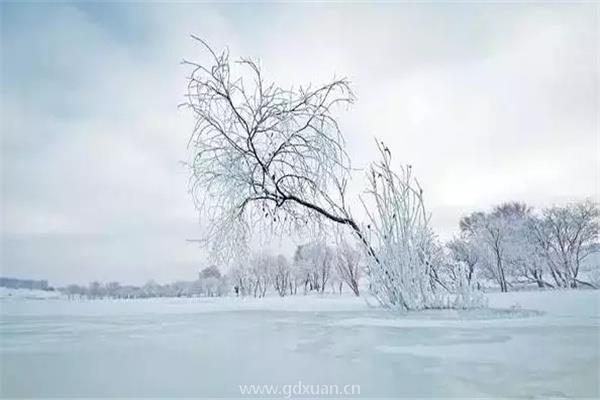 2021年大雪是哪一天？有哪些习俗？