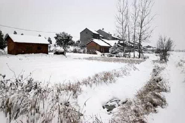 大雪节气吃什么？各地大雪节气谚语有哪些？