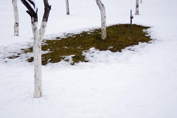 小雪南北饮食差异有哪些？小雪有哪些节气俗语？