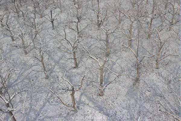 小雪节气会下雪吗？小雪节气吃什么食物？