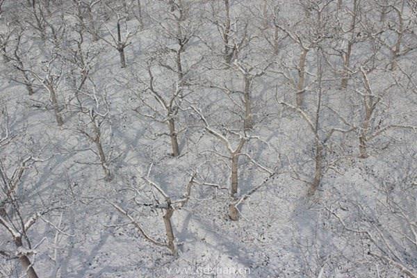 霜降节气吃什么传统食物？过了霜降是不是就是冬天了？