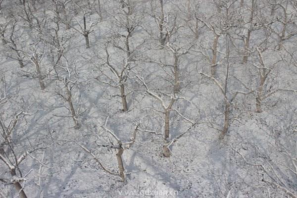 霜降节气的饮食习俗有哪些？