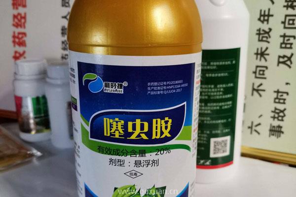 噻虫胺防治对象，能打什么害虫？